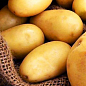 Насіннєвий среднеранний картопля "Електра" (на жарку, 1 репродукція) 1кг