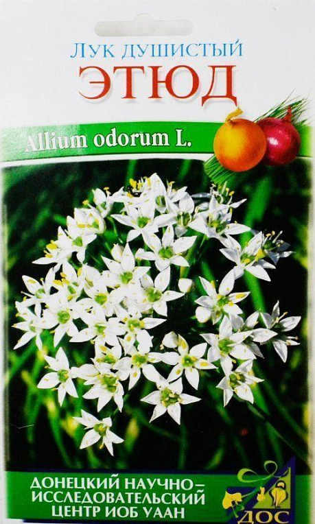 Лук душистый "Этюд" ТМ "Солнечный март" 0.8г