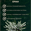 Эрика "Eva Gold" вазон Р9 цена