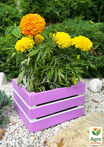 Ящик декоративний дерев'яний для зберігання та квітів "Джусіно" д. 22см, ш. 20см, ст. 13см. (ліловий)