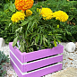 Ящик декоративный деревянный для хранения и цветов "Джусино" д. 22см, ш. 20см, в. 13см. (лиловый)