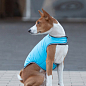 Куртка-накидка для собак AiryVest, S, B 41-51 см, С 23-32 см голубой (15422) цена