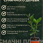 Арбутус (земляничное дерево)  цена