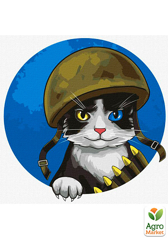 Картина по номерам - Воинствующий котик Идейка KHO4393