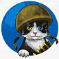 Картина по номерам - Воинствующий котик Идейка KHO4393