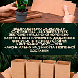 LMTD Хойя carnosa "Krimson Queen" 15-25см