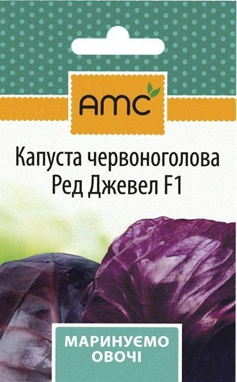 Капуста краснокочанная "Ред Джевел F1" ТМ "АМС" 20шт - фото 2