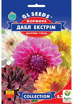 Георгина "Дабл экстрим" ТМ "GL SEEDS" 0.25г1