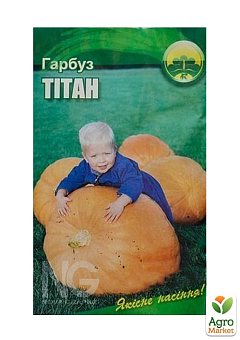 Гарбуз "Титан" ТМ "Весна" 2г22
