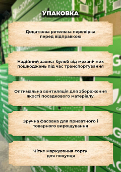 Эксклюзив! Картофель "Гала" семенной ранний (1 репродукция) 1кг1