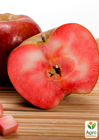 Яблоня красномясая "Ред Сан"(Red Sun) (летний сорт, средний срок созревания)