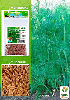 Укроп "Грибовский" (Зипер) ТМ "Весна" 7г