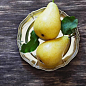 Груша "Великоплідна" (осінній сорт, середній термін дозрівання)
