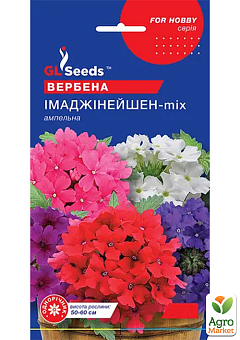 Вербена "Імаджінейшн-mix F1" ТМ "GL SEEDS" 0.1г