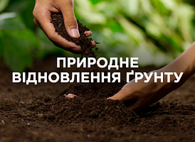 Відновлення ґрунту природними способами: дієві прийоми та поради | Agro-market