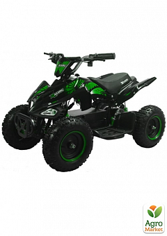 Квадроцикл аккумуляторный FORTE ATV800NE зеленый 800Вт 36В (119398)2