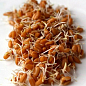 М'яка пшениця для пророщування органічного походження ТМ "Green Vitamin" 250г