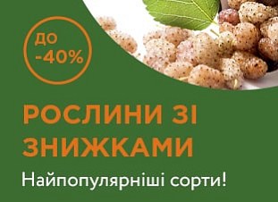 Рослини зі знижками до -40%