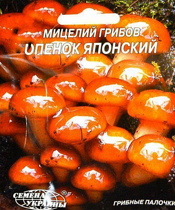 Опенок "Японский" ТМ "Семена Украины" 10шт