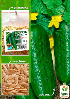 Огірок "Фенікс +" ТМ "Весна" 500г28