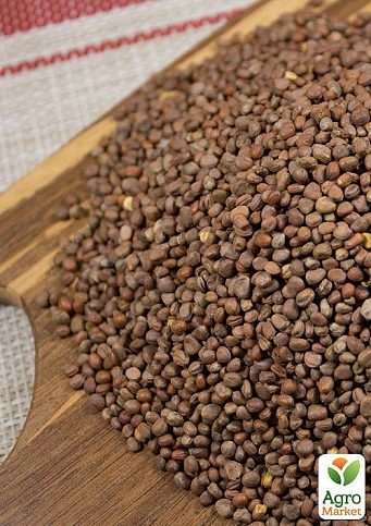 На вагу Редька "Мюнхен бір" ТМ "Весна" ціна за 10г - фото 4