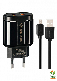 Сетевое зарядное устройство Gelius Pro Avangard GP-HC06 2USB 2.4A + кабель MicroUSB Black2