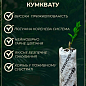 Кумкват "Хиндши" купить