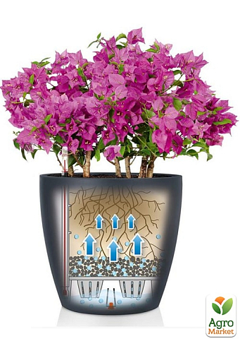 Розумний вазон з автополивом Lechuza Classico Color 28, пісочно-коричневий (13193) - фото 4