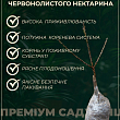 Нектарин колоноподібний червонолистий "Honey Red" купить