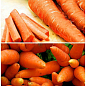 На развес Морковь "Медовянка" ТМ "Весна" цена за 10г купить