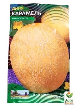 Дыня "Карамель" (Большой пакет) ТМ "Весна" 2,5г30