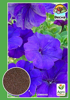 Петунія великоквіткова синя ТМ "Весна" 0.3г27