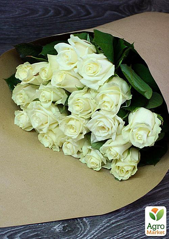 Роза чайно-гибридная "Магади" (саженец класса АА+) высший сорт NEW - фото 4