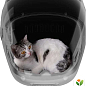 Рюкзак-переноска PETKIT Breezy2 Smart Cat Carrier Blue (720110) купить