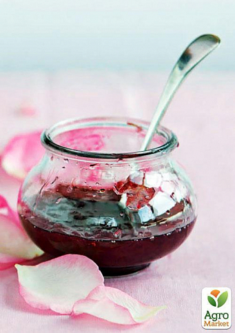 Ексклюзив! Троянда чайно-гібридна чисто-рожева з м'яким рум'янцем "Розкішне життя" (Luxurious life) (сорт на дуже смачне варення) - фото 2