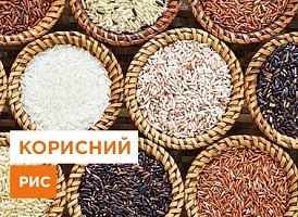 Як правильно вибрати рис - корисні статті про садівництво від Agro-Market