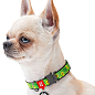Ошейник для собак нейлоновый WAUDOG Nylon с QR паспортом, рисунок "Авокадо", металлическая пряжка-фастекс, Ш 20 мм, Д 28-40 см (5138) купить