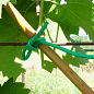 Подвязка для растений из ПВХ 5 м  цена