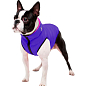 Курточка для собак AiryVest двостороння, розмір S 40, рожево-фіолетова (1581)  купить
