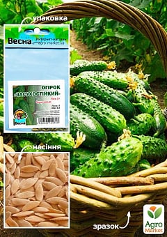 Огірок "Засухостійкий" (Зипер) ТМ "Весна" 2г23