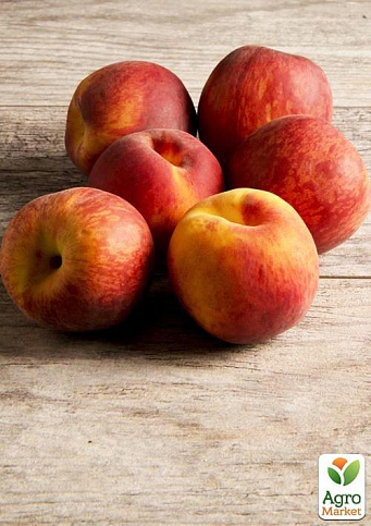 Персик "T-5 Топ Свит" (летний сорт, поздний срок созревания)