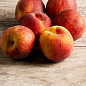 Персик "T-5 Топ Свит" (летний сорт, поздний срок созревания)