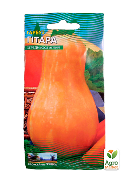 Тыква "Гитара" ТМ "Весна" 2г13