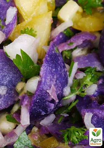 Насіннєвий рання картопля темно-фіолетовий "Полрасін" (1 репродукція) 1кг - фото 3