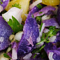 Картофель "Полрасин" семенной ранний темно-фиолетовый (1 репродукция) 1кг цена