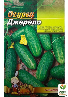 Огірок "Джерело" (Великий пакет) ТМ "Весна" 2г17