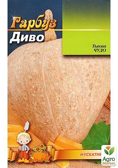 Тыква "Чудо" (Большой пакет) ТМ "Весна" 8г30
