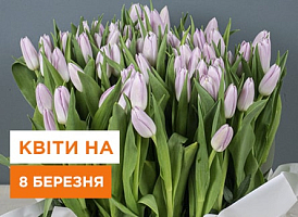 Квіти на 8 березня - корисні статті про садівництво від Agro-Market