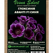 Глоксинія "Аванті F1" синя ТМ "Vesna Select" 5шт купить