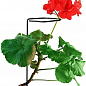 Опора для растений ТМ "ORANGERIE" тип AC (зеленый цвет, высота 300 мм, диаметр проволки 3 мм) купить
